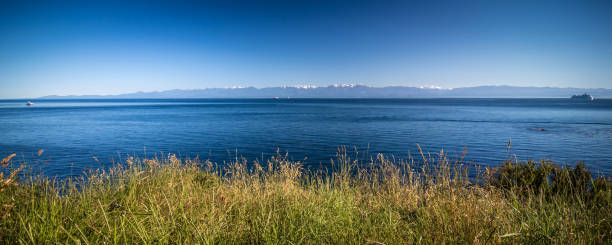 istock Scenes around Ogden Point cruise ship terminal in Victoria BC.Canada 1015757780