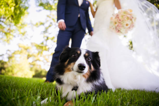istock Wedding Bouquet/Flowers 1015762148