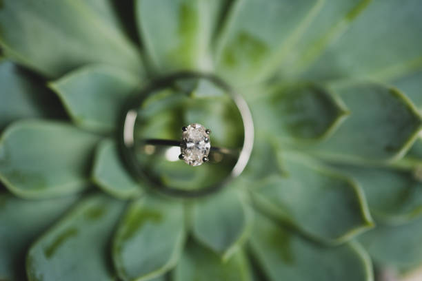 istock Wedding Bouquet/Flowers 1015762368