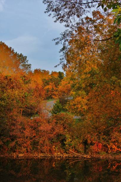 istock Autumn in the park 1015762864