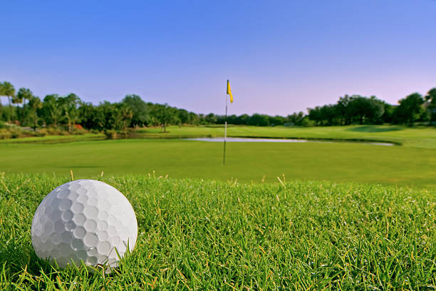 istock golf ball lies just above green 101576791