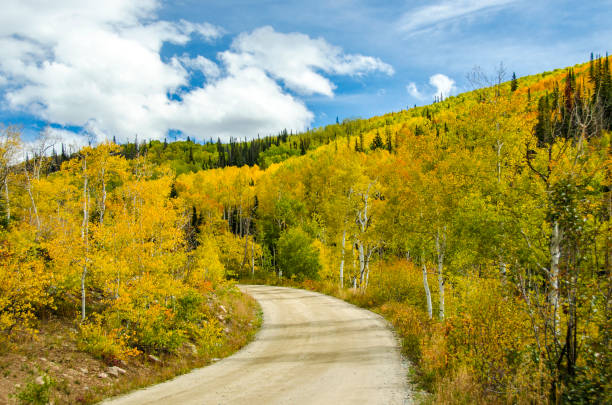 istock Autumn Country Road 1015768386