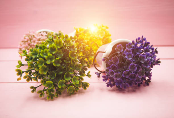 istock The small plant put on wooden timber board,warm light tone,blurry light around. 1015779628