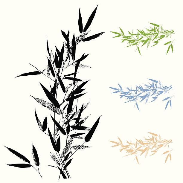 Bamboo Leafs Branch -Design Element  bamboo leaf stock illustrations