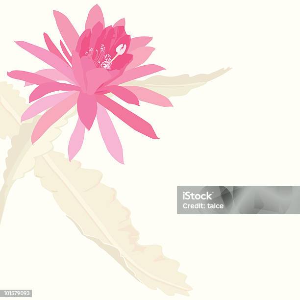Ilustración de Rosa Flor Tropical y más Vectores Libres de Derechos de Cabeza de flor - Cabeza de flor, Cactus, Clima tropical