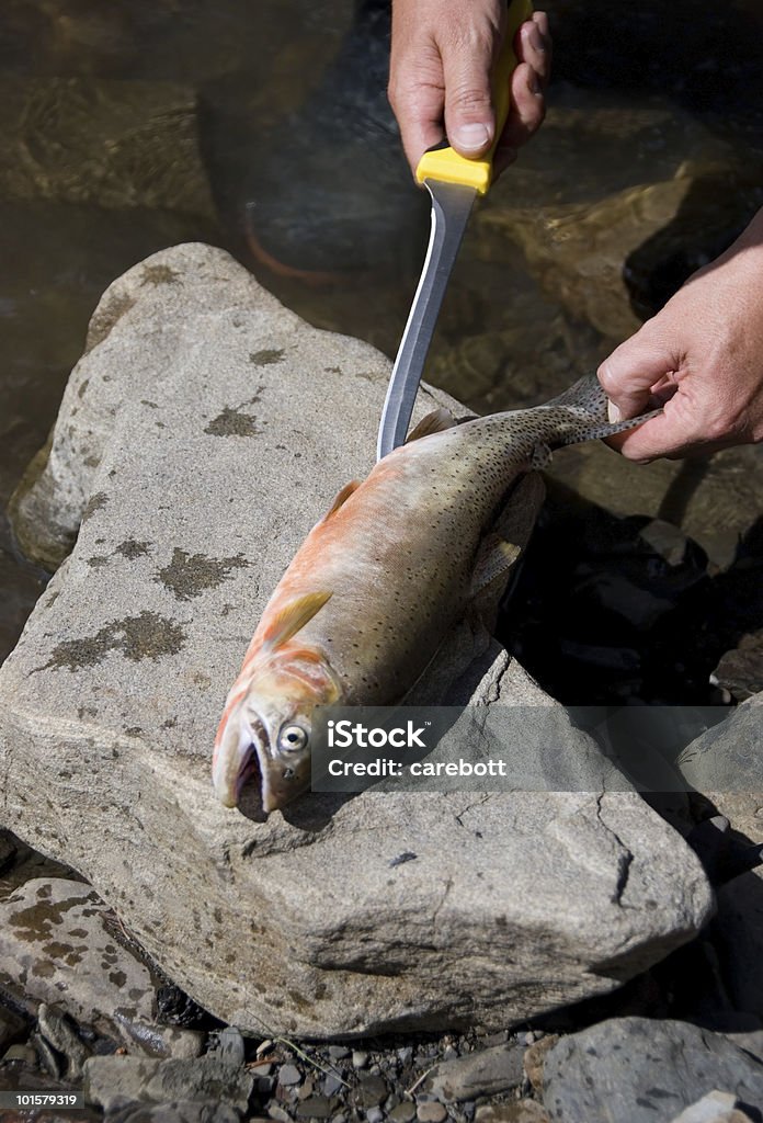 Hombre Gutting pescado - Foto de stock de Cuchillo de carne libre de derechos