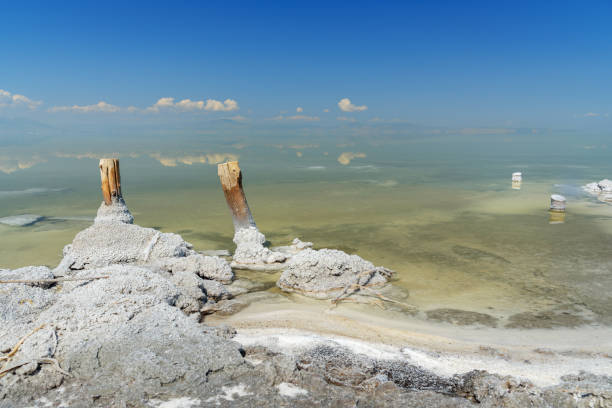 drewniane filary ze skrystalizowanym solą na jeziorze słonym urmia. iran - lake urmia zdjęcia i obrazy z banku zdjęć