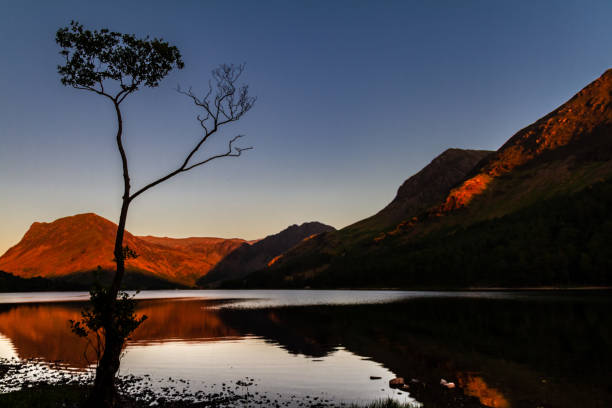 istock Magnificent sunset on glowing moutains with a mirror lake and a silhouetted birch tree in Buttermere Cumbria, England 1015805102