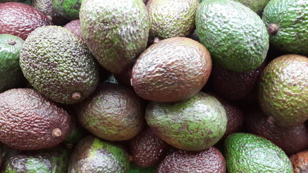 istock Fresh organic avocado texture. Colorful avocado background. Selective focus 1015828034