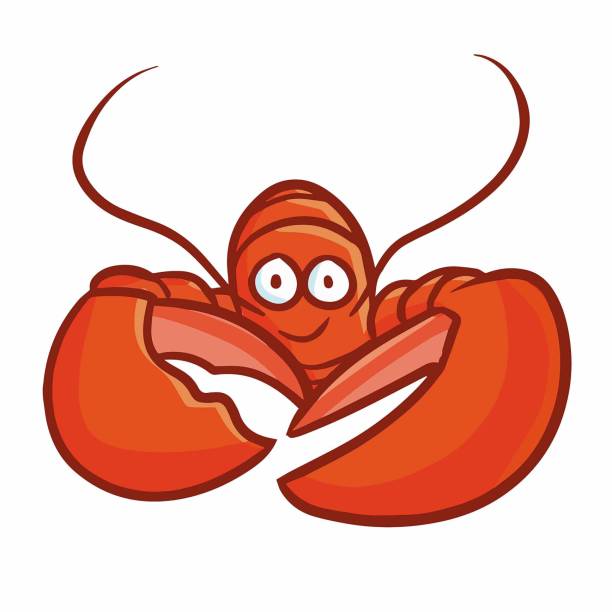 ilustrações de stock, clip art, desenhos animados e ícones de cute lobster from front view - lobster