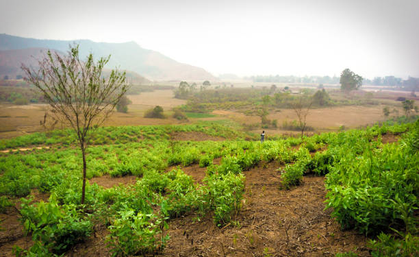 istock Landscapes from Manipur, India 1015836278