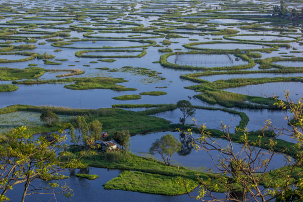 istock Loktak Lake, Manipur 1015836318