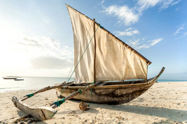 A Dhow sailboat. A Dhow boat on the beach. Sailing boat on the shore. dhow photos stock pictures, royalty-free photos & images