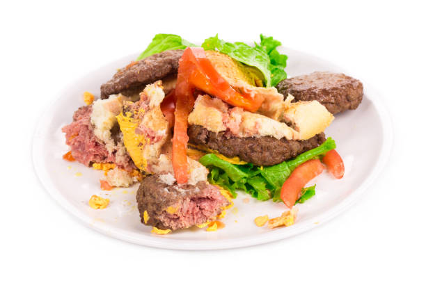 Pieces of hamburger.