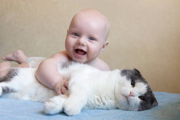 un pequeño niño que abraza un gran gato mullido - kitten newborn animal domestic cat feline fotografías e imágenes de stock