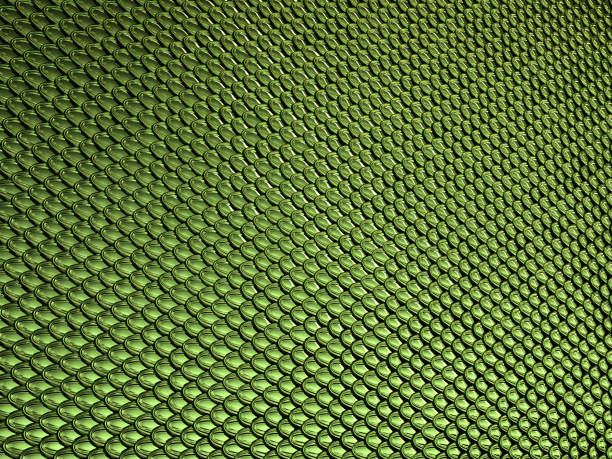 istock Green glossy  Scales texture or background 1015852364