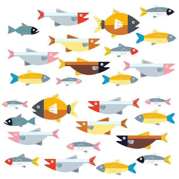 Two way traffic Groups of fish swimming in two directions fishing illustrations stock illustrations