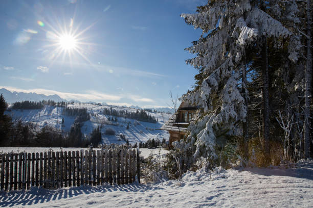 istock Winter in Tatra mountains 1015861598