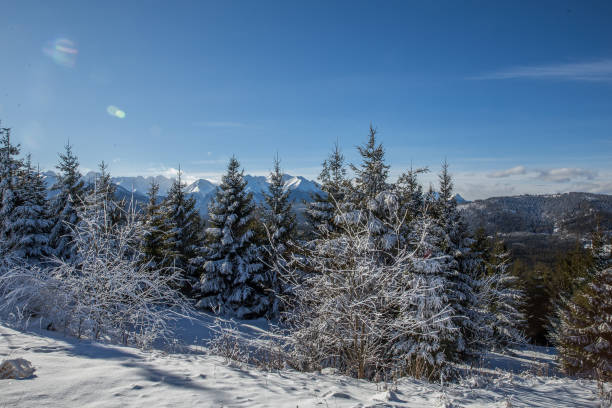 istock Winter in Tatra mountains 1015861630