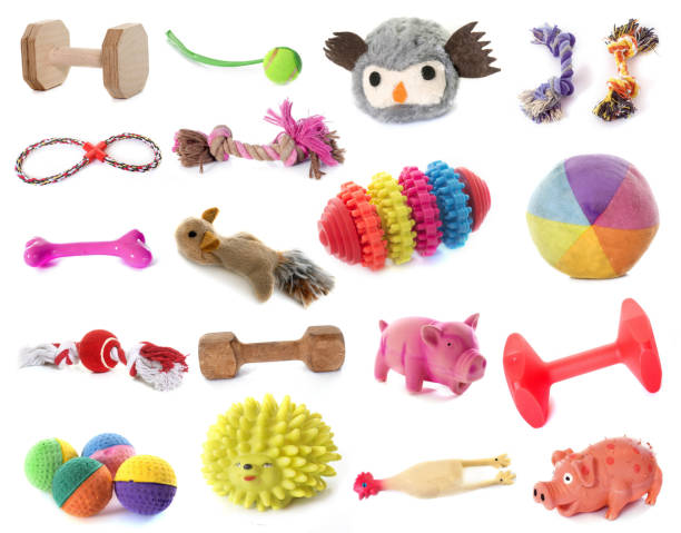 istock toys for dogs 1015864594