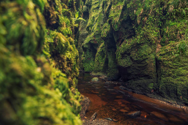 istock Mountain ravine. Rocks covered with moss and brake 1015864596