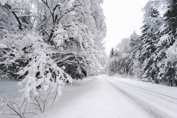 istock Winter snowy landscape 1015864720