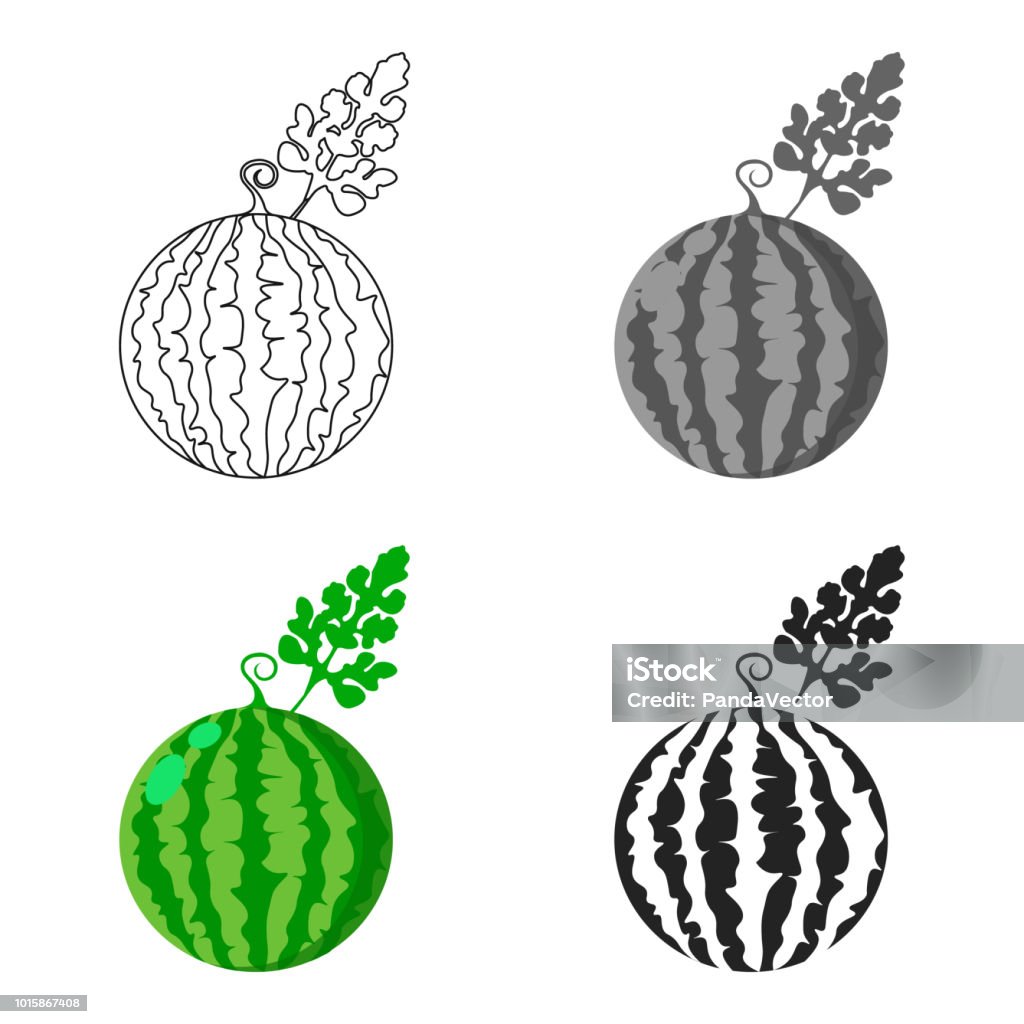 Watermelon Icon Cartoon Single Plant Icon From The Big Farm Garden  Agriculture Cartoon Stock Illustration - Download Image Now - iStock