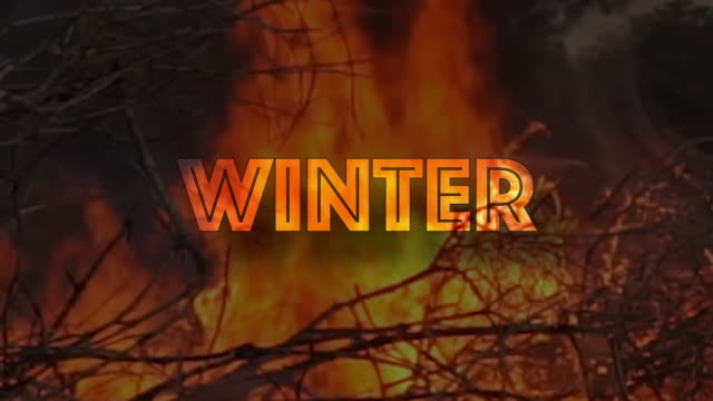 Animated Winter warm camp fire burning
