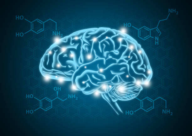 Human brain illustration with hormone biochemical concept background Human brain illustration with hormone biochemical (serotonin, dopamine, and norepinephrine) concept background dopamine stock pictures, royalty-free photos & images