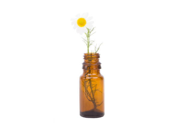 Medicine Bottle white background.