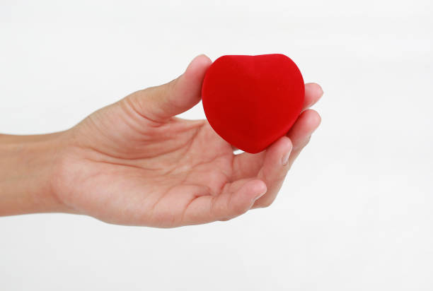 istock Hands holding small gift heart on Valentine's Day isolated on white background. 1015891174