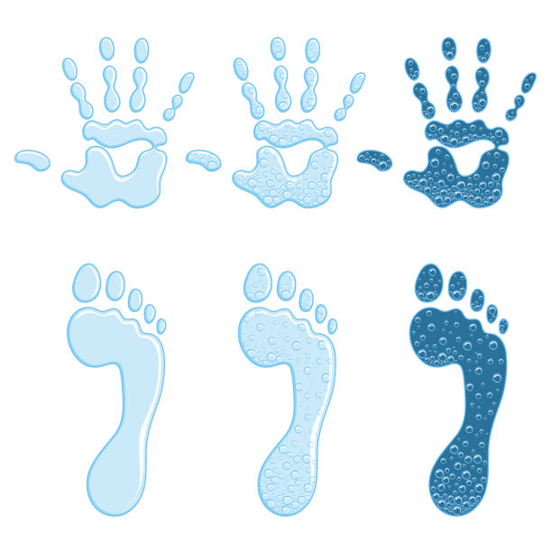 ilustrações de stock, clip art, desenhos animados e ícones de set of color illustrations with a footprint and a handprint. isolated vector objects. - postage stamp white background nobody color image