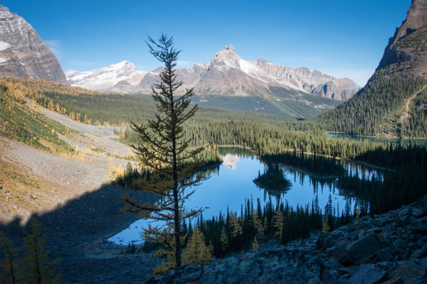 istock Lake O'Hara in Autumn, Yoho National Park, Canada 1015899232