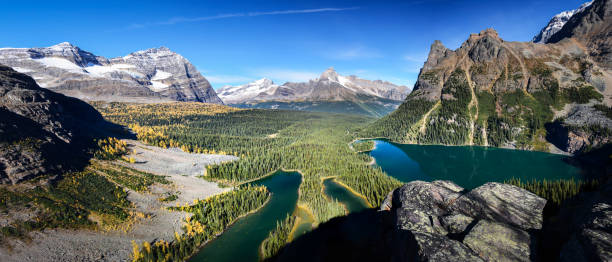 istock Lake O'Hara Panorama, Yoho National Park Canada 1015899356