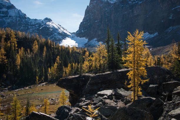 istock Lake O'Hara in Autumn, Yoho National Park, Canada 1015902252