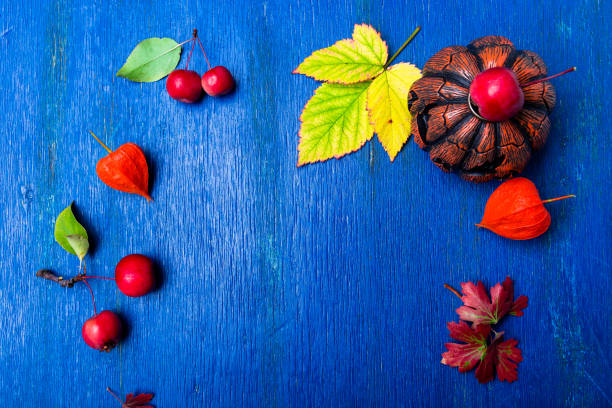 istock Thanksgiving Day frame. Leaves, pumpkin  and small apple around on wooden blue rustic background. Top view. Copy space. Flat lay. 1015909208