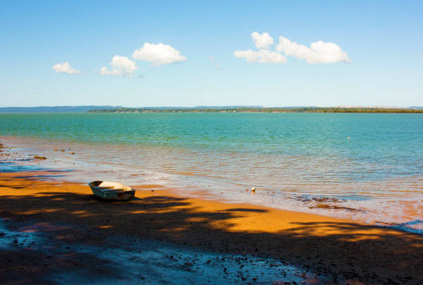 istock Australian beaches summer holiday 1015913588
