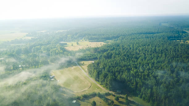 istock Misty sunrise over countryside path Aerial view Latvia 1015914232