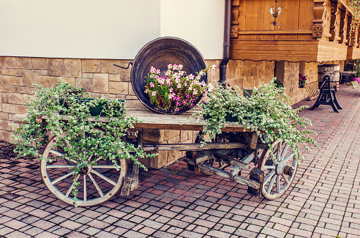 Wooden cart loaded with flowers near mountain chalet
