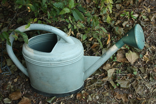 Gardening Watering can