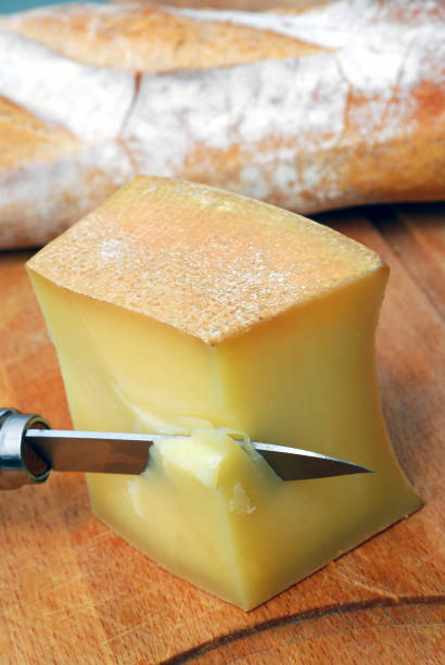 istock Cheese of Abundance 1015921320