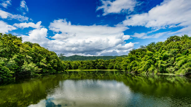 istock Green lake with green tropical forest and white cloud on blue sky background 1015921680