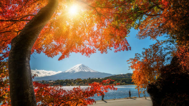 istock Mount Fuji in Autumn Color, Japan 1015922524