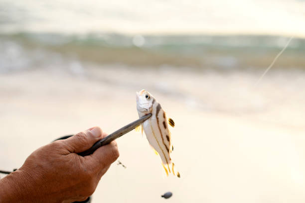 istock fisherman Fishing at sea 1015927450