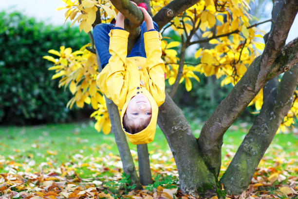 little kid boy in colorful clothes enjoying climbing on tree on