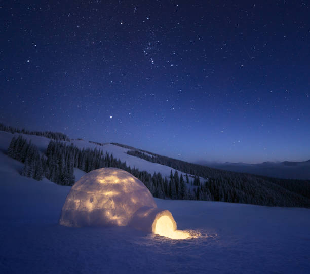 istock Winter night landscape with a snow igloo and a starry sky 1015933058