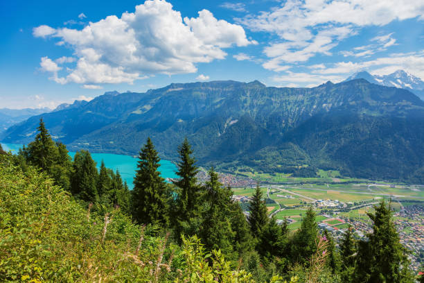 istock View from Mt. Harderkulm in Switzerland in summer 1015935120