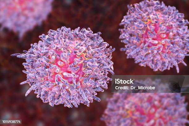 Hairy Cell Leukemia Stock Photo - Download Image Now - Leukemia, Biological Cell, Oncology