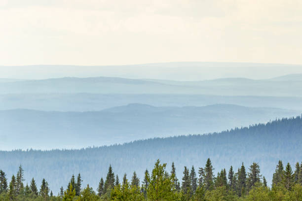 Rolling landscape view with shadings in the woods