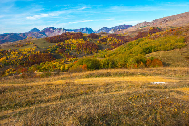 istock Autumn landscape, colorful forest 1015950096